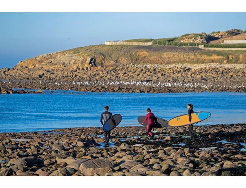 Meteor 7'0" 14 Meteor 7'0" – Image 14