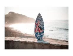 ToyBoard® Feed Up -F-One Soldes Boutique toyboard feed up toy board 3